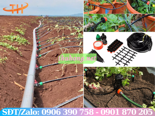 Tưới nhỏ giọt cây trồng