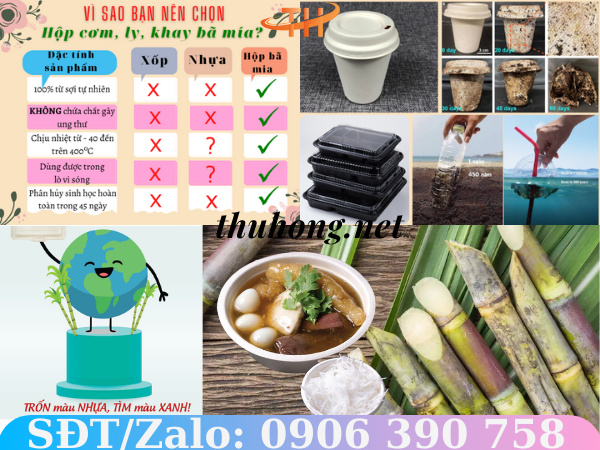 Ưu điểm của đồ đựng thực phẩm làm từ bã mía
