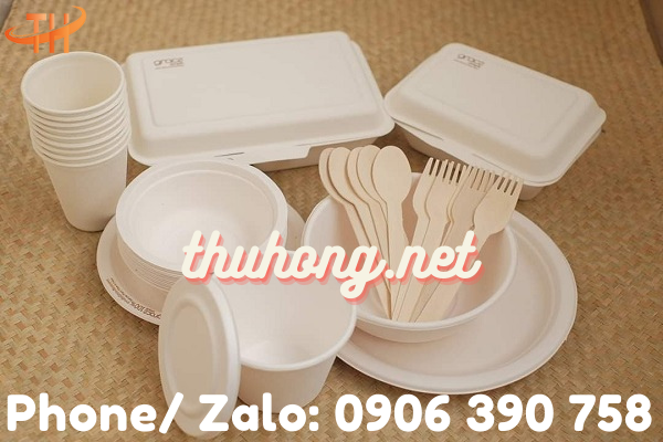 ưu nhược điểm của sản phẩm đồ dùng một lần từ bã mía