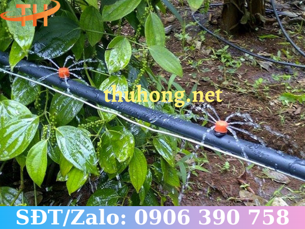 Tưới nhỏ giọt cho vườn cây