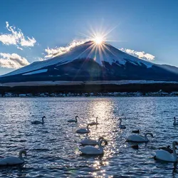 TOKYO - NÚI PHÚ SĨ - OSHINO HAKKAI - KOBE - OSAKA - KYOTO - NAGOYA (5N4Đ)