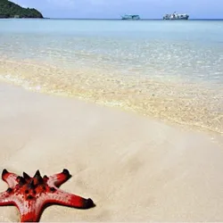 Phú Quốc - Ngắm Hoàng Hôn Tại Sunset Sanato - Bãi Sao - Thiền Viện Trúc Lâm Hộ Quốc (3N2Đ)