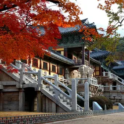 BUSAN - GYEONGJU - SEOUL - LOTTE WORLD - LOTTE AQUARIUM - NAMI - LÀNG PHÁP (5N4Đ)