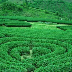 HÀ NỘI - ĐÔNG BẮC: HÀ GIANG - LŨNG CÚ - ĐỒNG VĂN - MÃ PÍ LÈNG - MÈO VẠC - CAO BẰNG - THÁC BẢN GIỐC - HỒ BA BỂ (6N5Đ)