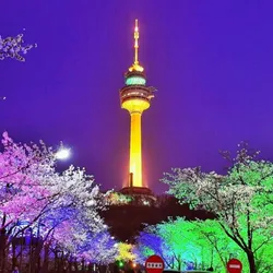SEOUL - NAMI - HONGCHEON - SEORAK - THÁP NAMSAN (MÙA HOA ANH ĐÀO) (5N4Đ)