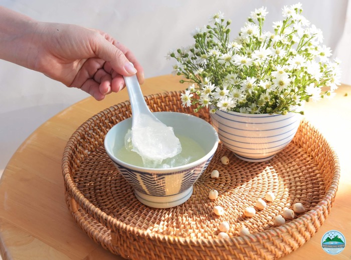 tác dụng của yến sào đối với sức khỏe tác dụng của yến sào đối với sức khỏe