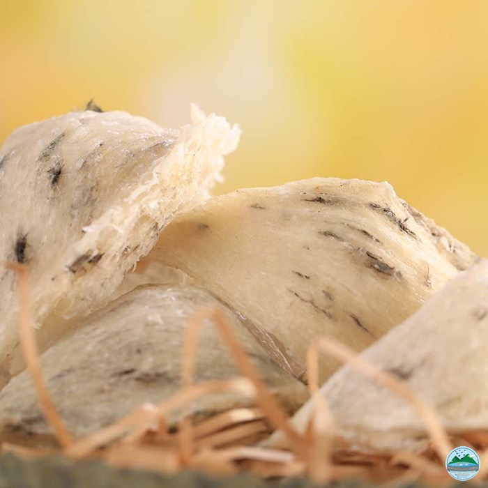 địa chỉ mua yến sào uy tín địa chỉ mua yến sào uy tín