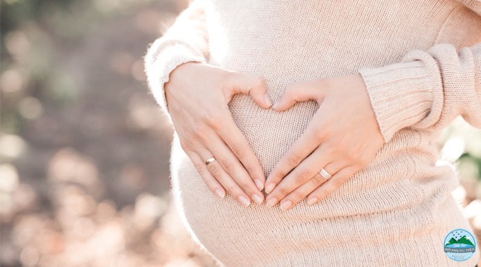 tổ yến tốt cho đối tượng nào tổ yến tốt cho đối tượng nào