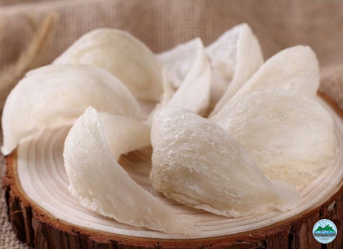 tổ yến tốt cho đối tượng nào tổ yến tốt cho đối tượng nào