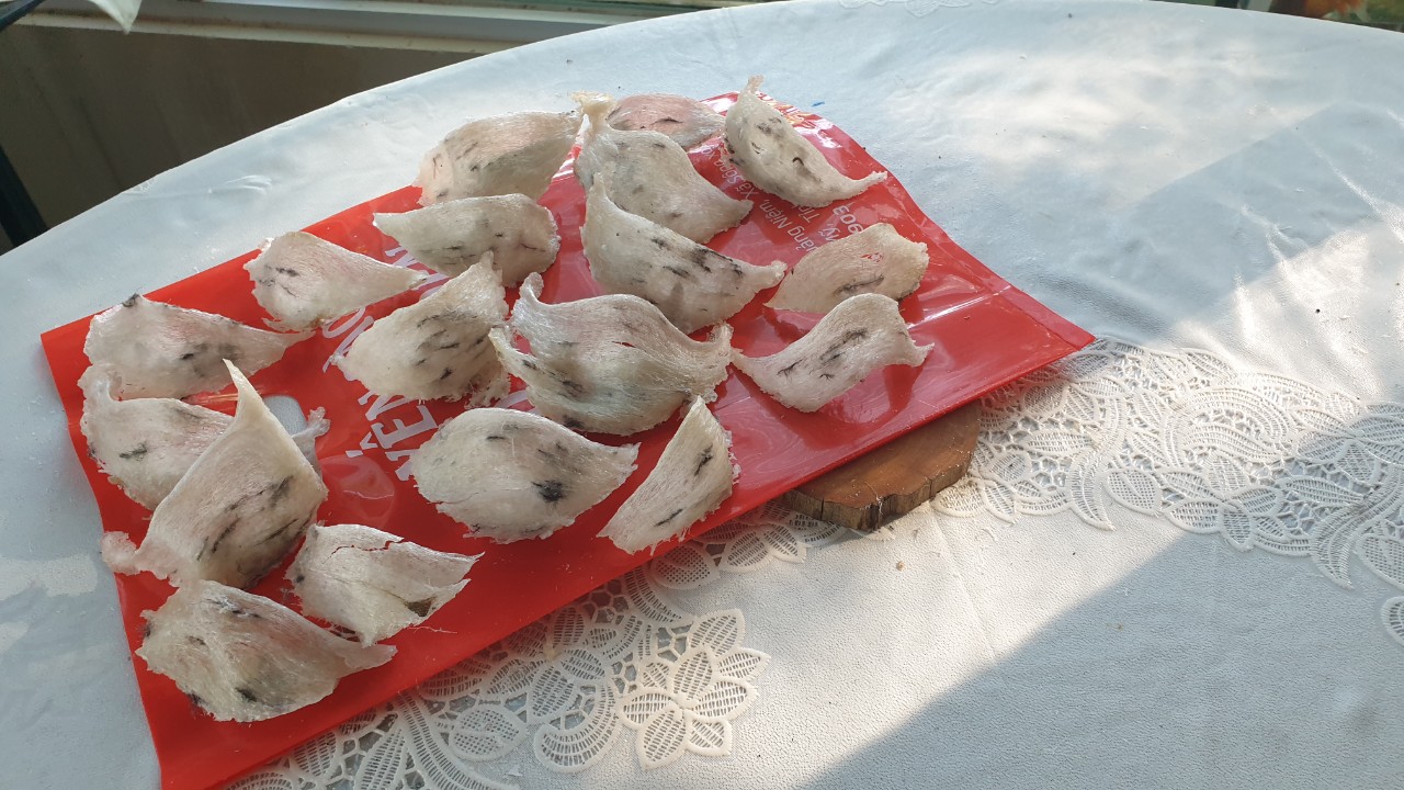 1 lạng yến được mấy tổ 1 lạng yến được mấy tổ