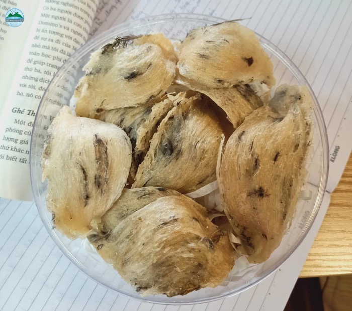 1 lạng yến sào dùng được bao lâu 1 lạng yến sào dùng được bao lâu