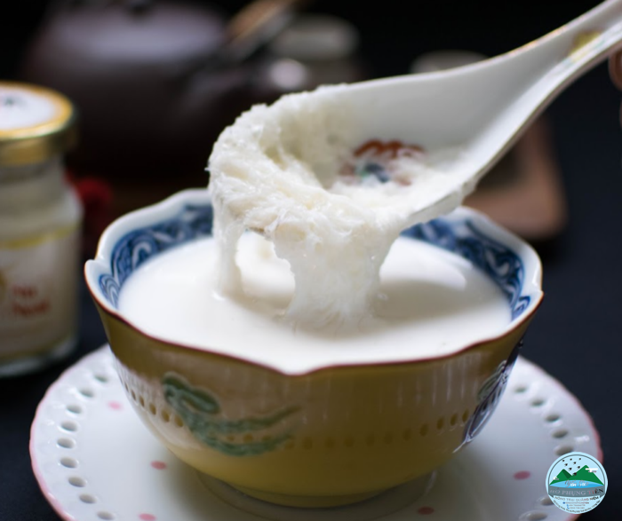 Hướng dẫn chưng yến Hướng dẫn chưng yến