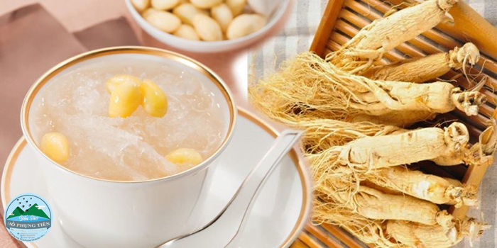 Hướng dẫn chưng yến Hướng dẫn chưng yến