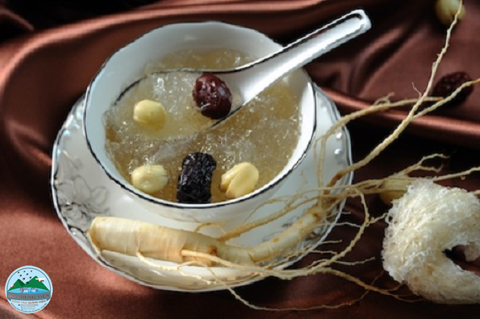 Hướng dẫn chưng yến Hướng dẫn chưng yến