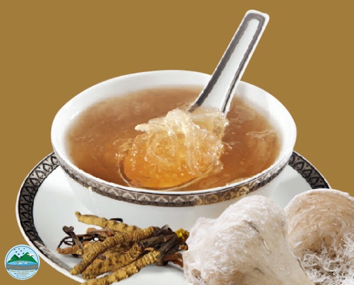 hướng dẫn chưng yến hướng dẫn chưng yến