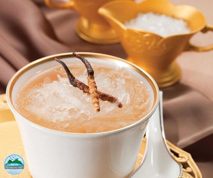 hướng dẫn chưng yến hướng dẫn chưng yến