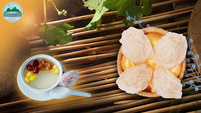 Hướng dẫn chưng yến Hướng dẫn chưng yến