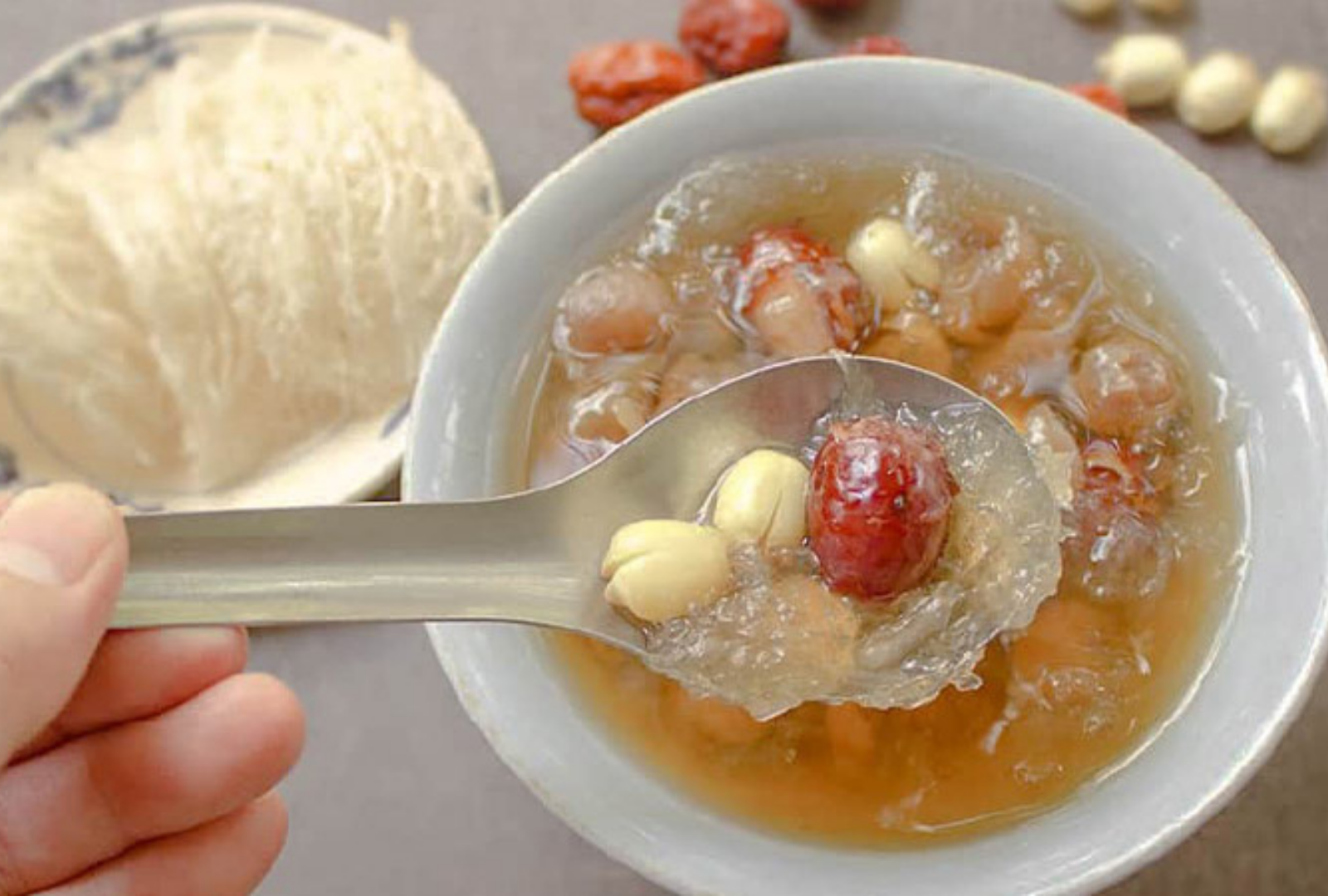 yến sào yến sào