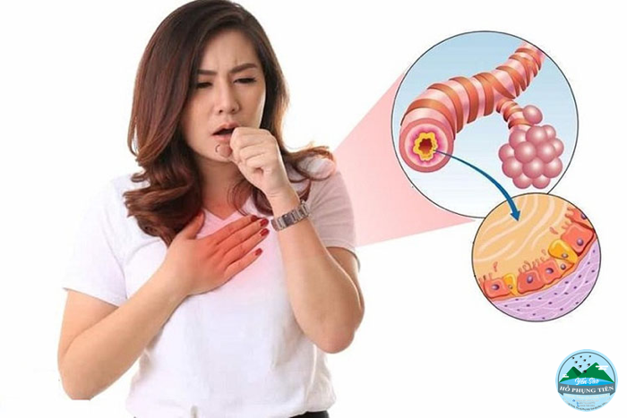 Yến sào Yến sào