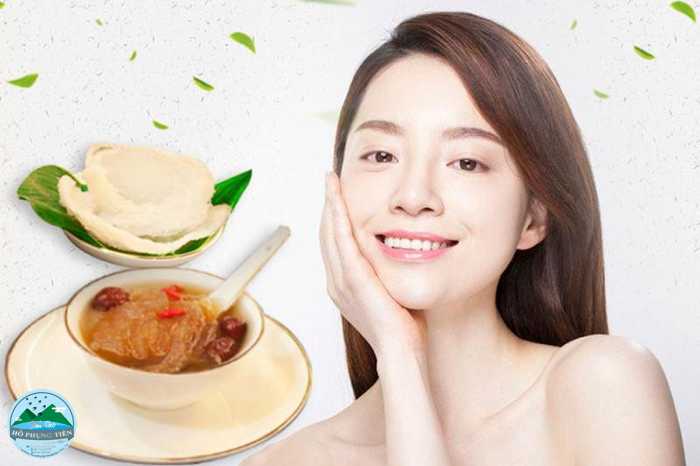 Yến sào ăn có tác dụng gì Yến sào ăn có tác dụng gì