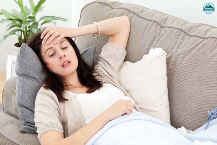 Yến sào cho người suy nhược cơ thể Yến sào cho người suy nhược cơ thể