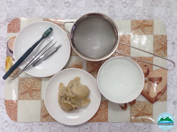 yến sào yến sào