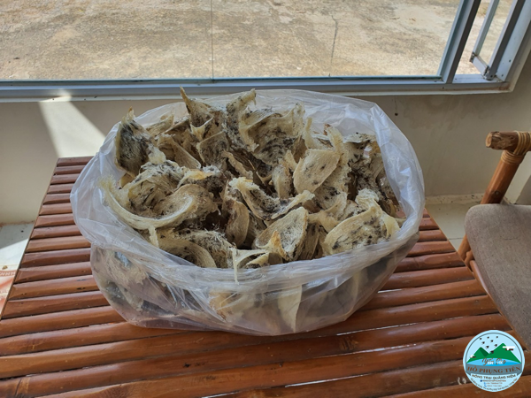 Cách làm sạch tổ yến thô Cách làm sạch tổ yến thô