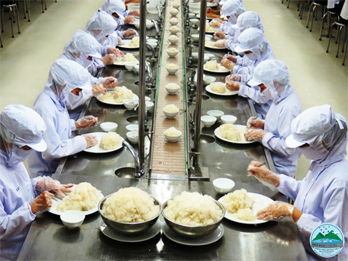 Yến sào Yến sào