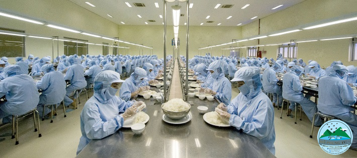 Yến sào Yến sào