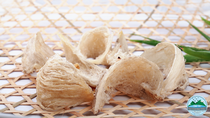 Yến sào Yến sào