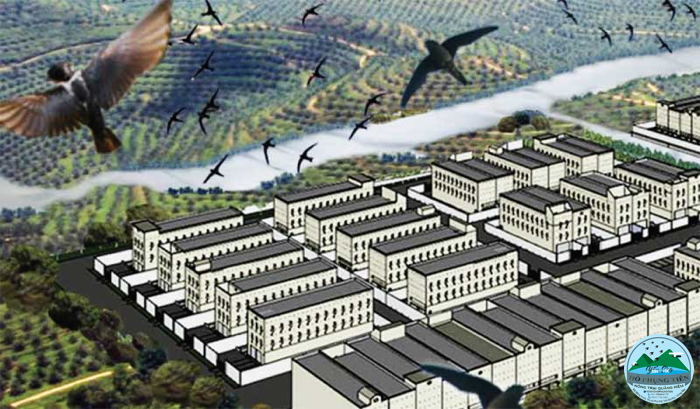 Yến sào Yến sào