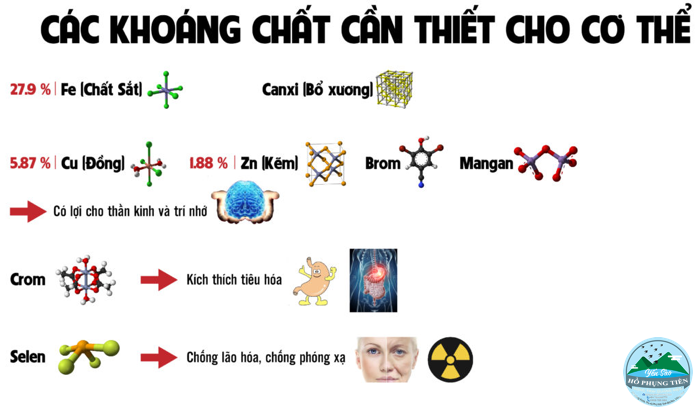 yến sào yến sào