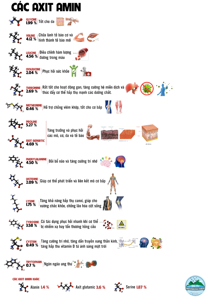 yến sào yến sào