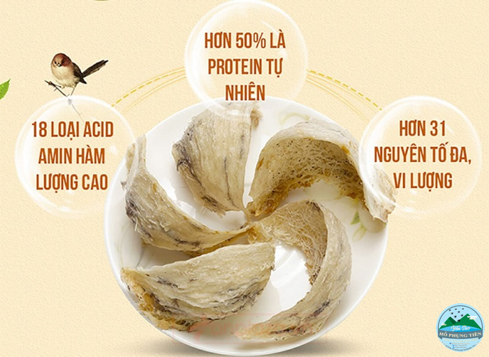 yến sào yến sào