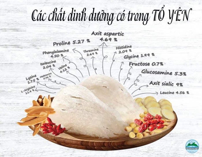 9 tác dụng của yến sào 9 tác dụng của yến sào