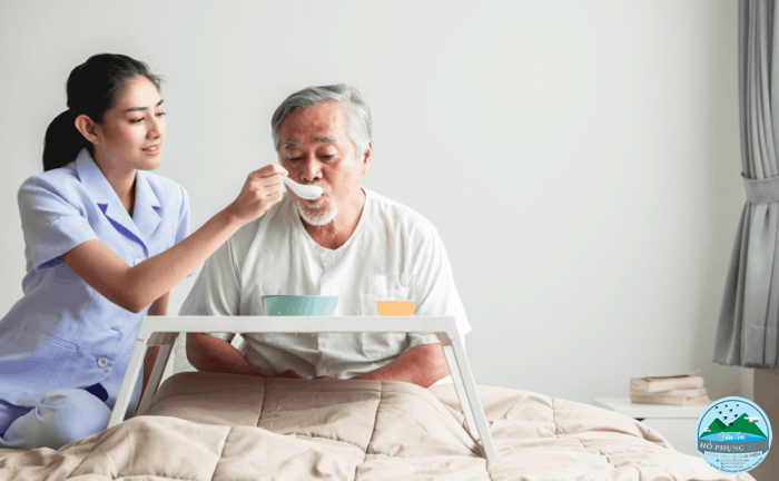 Ăn yến sào có tác dụng gì Ăn yến sào có tác dụng gì