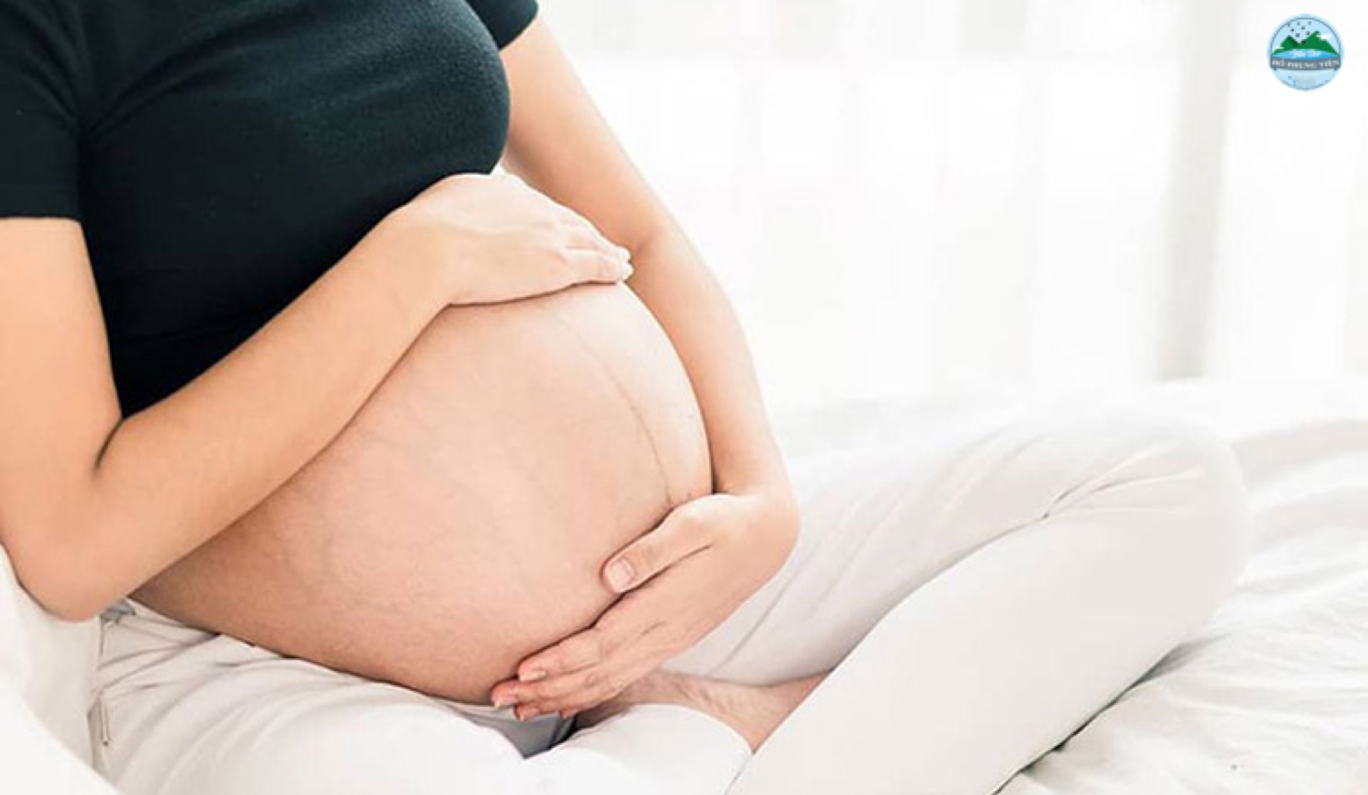 Bà bầu có nên ăn quá nhiều yến sào Bà bầu có nên ăn quá nhiều yến sào