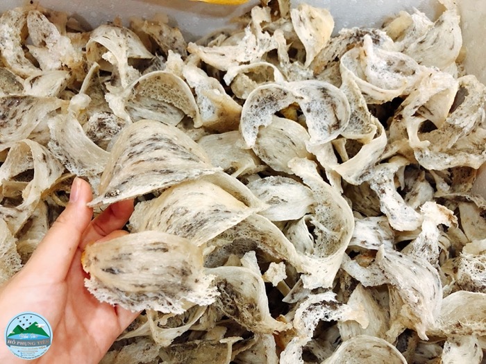 Bảng giá các loại yến sào Bảng giá các loại yến sào