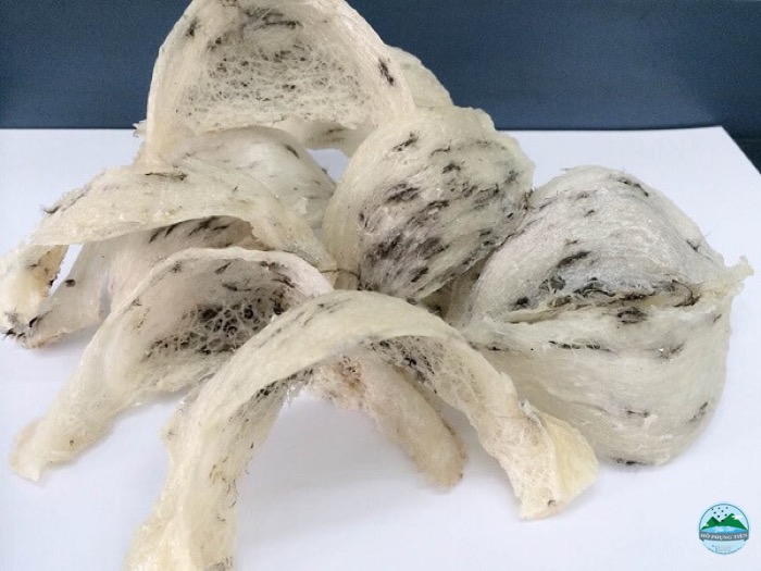 bảo quản yến sào bảo quản yến sào