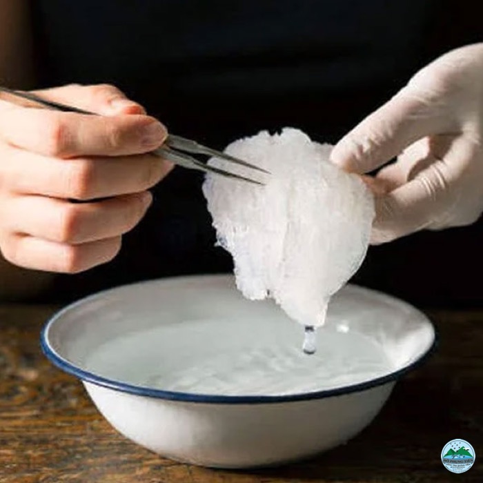 bảo quản yến sào bảo quản yến sào