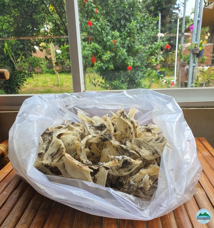 Bảo quản yến Bảo quản yến