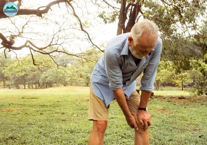 Bệnh xương khớp ở người cao tuổi Bệnh xương khớp ở người cao tuổi