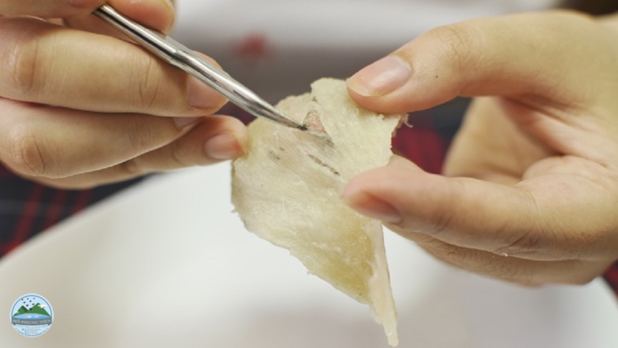 các bước làm tổ yến chưng đường phèn các bước làm tổ yến chưng đường phèn