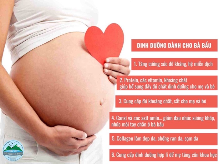 Các loại yến sào cho bà bầu Các loại yến sào cho bà bầu