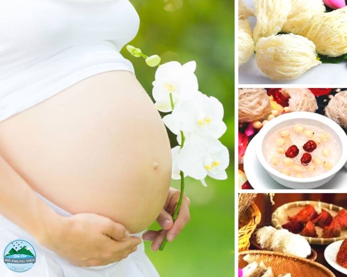 Các loại yến sào cho bà bầu Các loại yến sào cho bà bầu