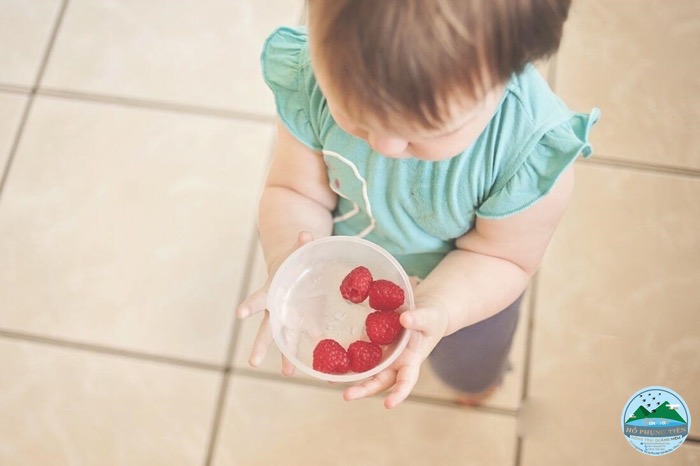 Các loại yến sào cho bé Các loại yến sào cho bé