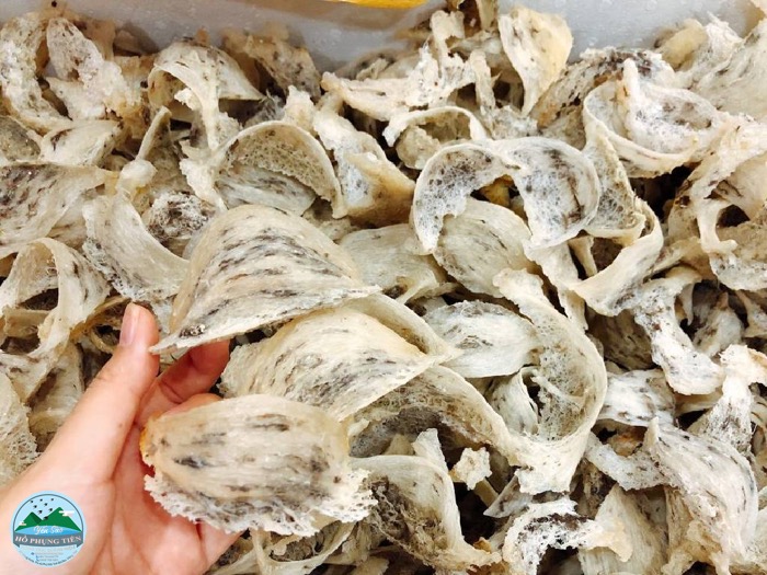 Các loại yến sào Các loại yến sào