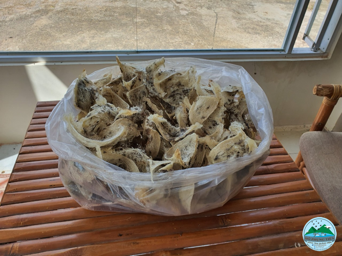 Các loại yến trên thị trường Các loại yến trên thị trường