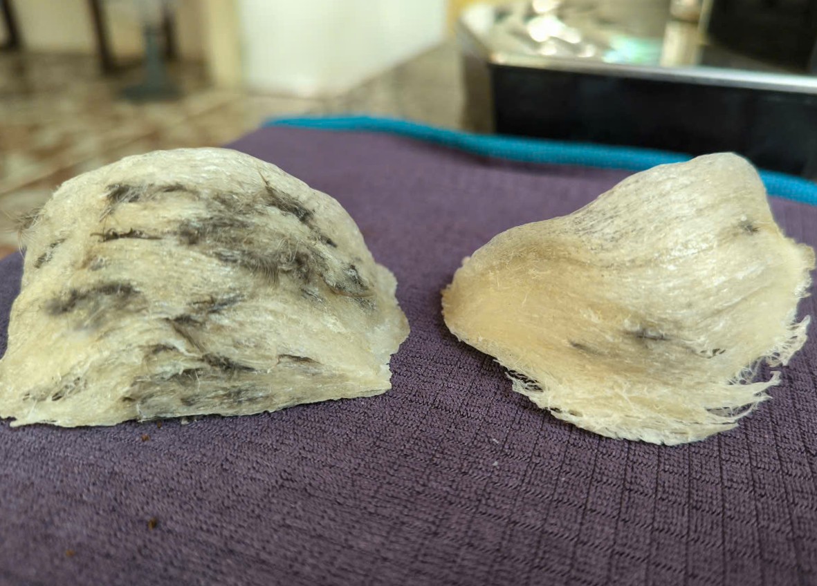 Cách chọn mua yến thô chuẩn – Không sợ mua nhầm hàng kém chất lượng Cách chọn mua yến thô chuẩn – Không sợ mua nhầm hàng kém chất lượng