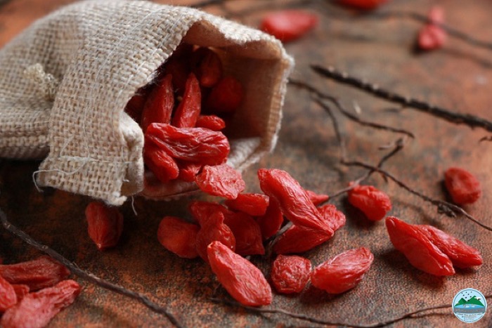 cách dùng yến hiệu quả cách dùng yến hiệu quả